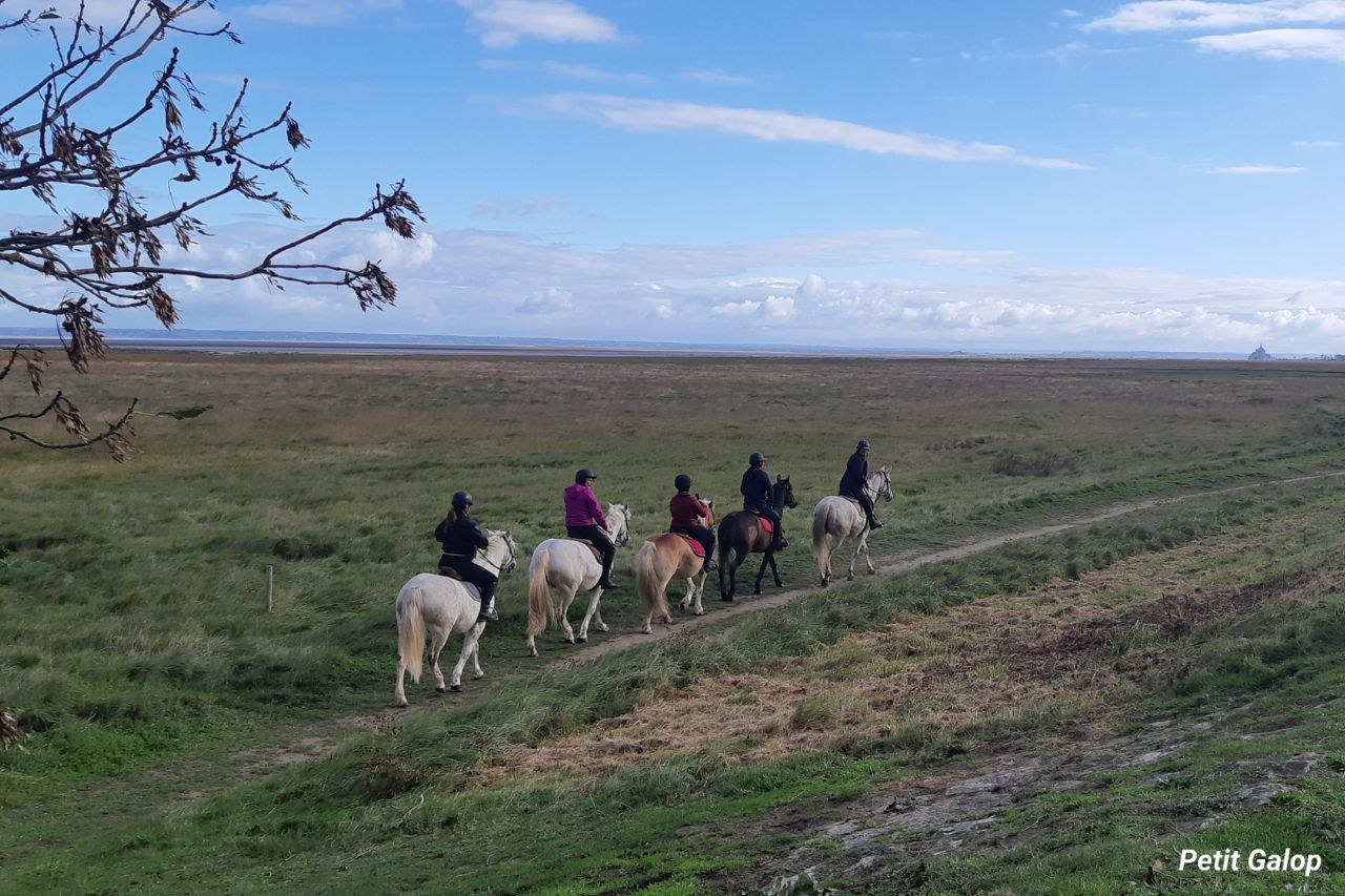 Règles de circulation à cheval en extérieur