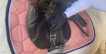 Ressangler un cheval