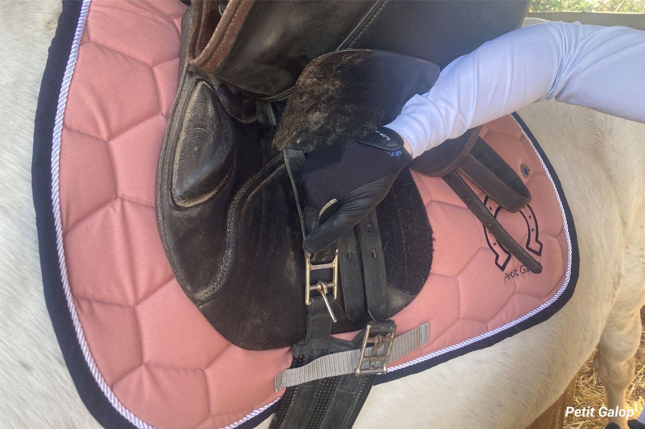 Ressangler un cheval