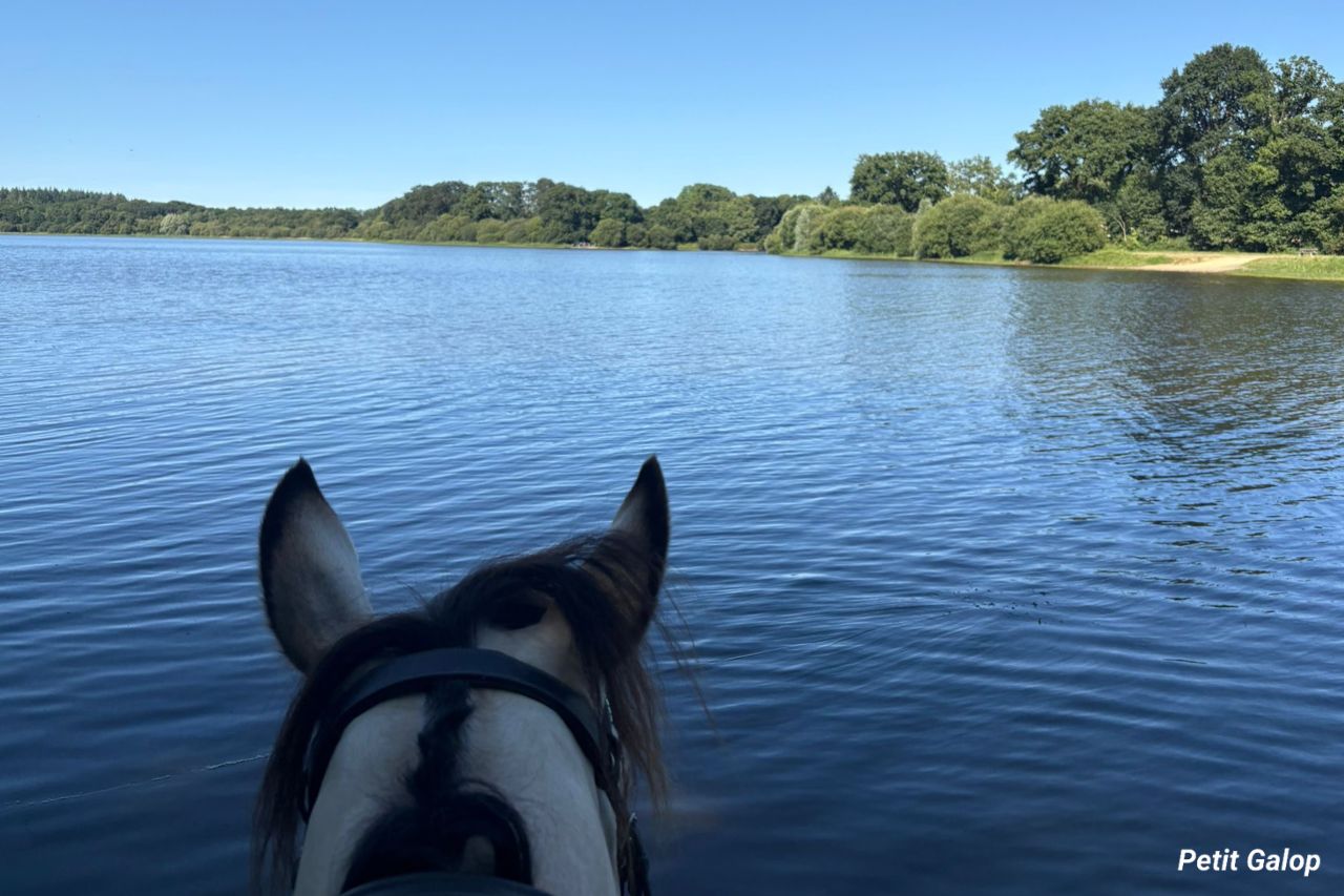 Choisir sortie cheval