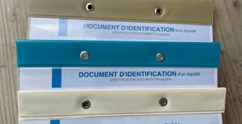 Documents identification cheval