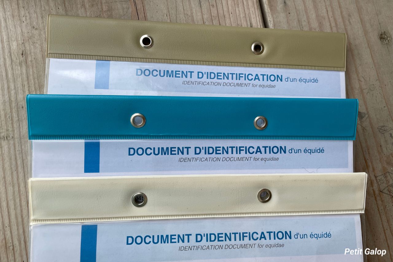 Documents identification cheval