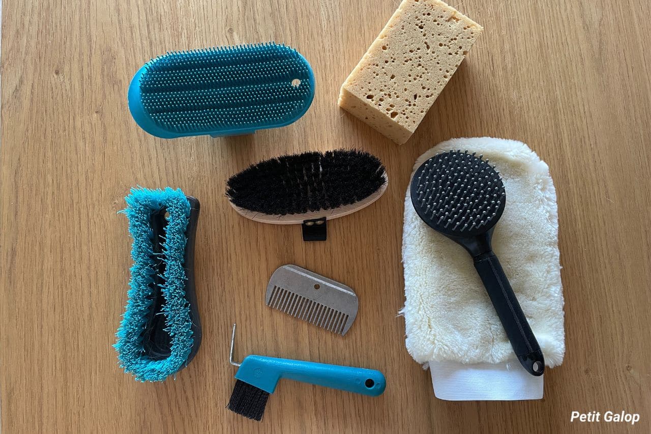 Matériel pansage complet cheval