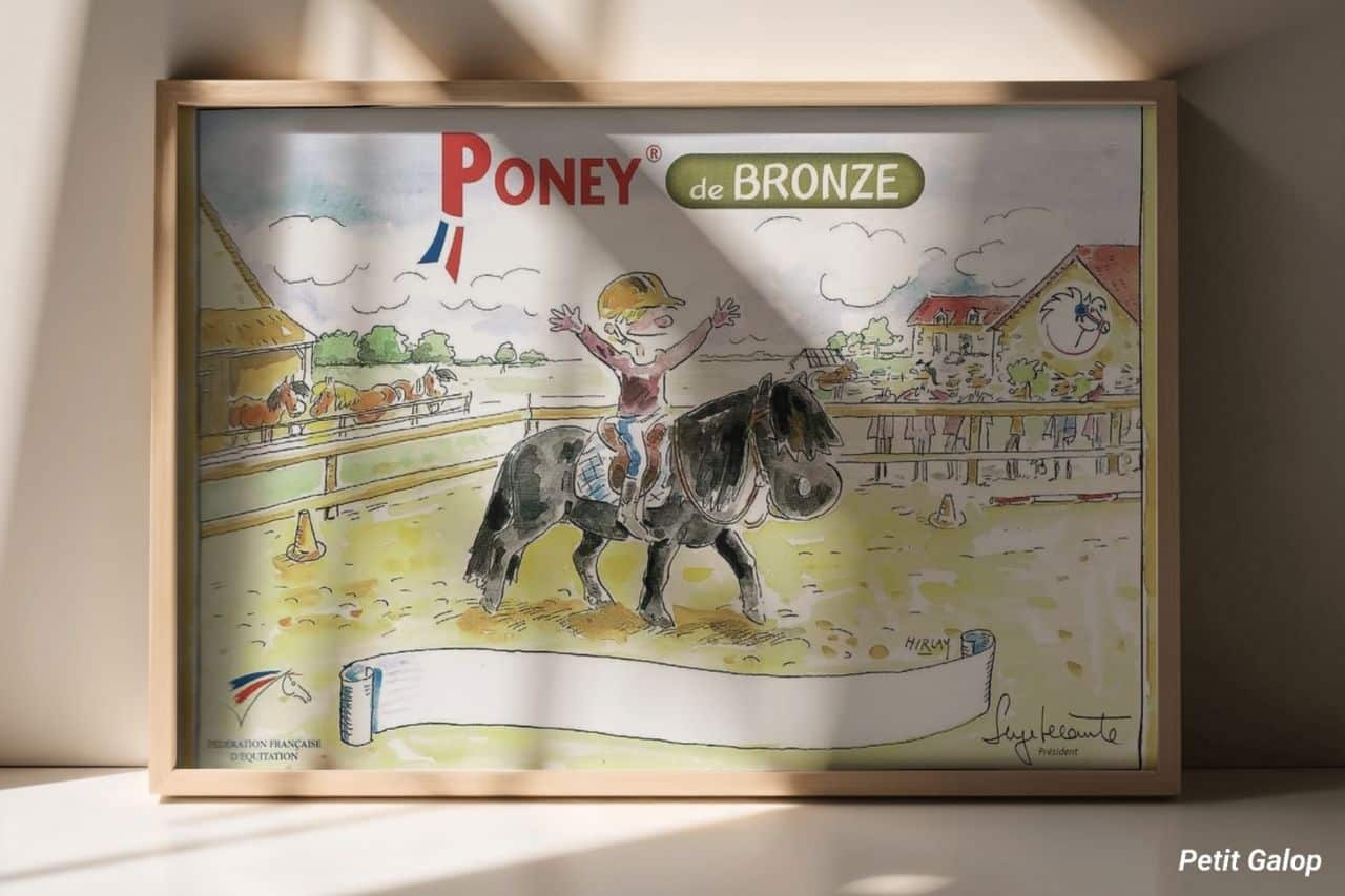 Poney de Bronze