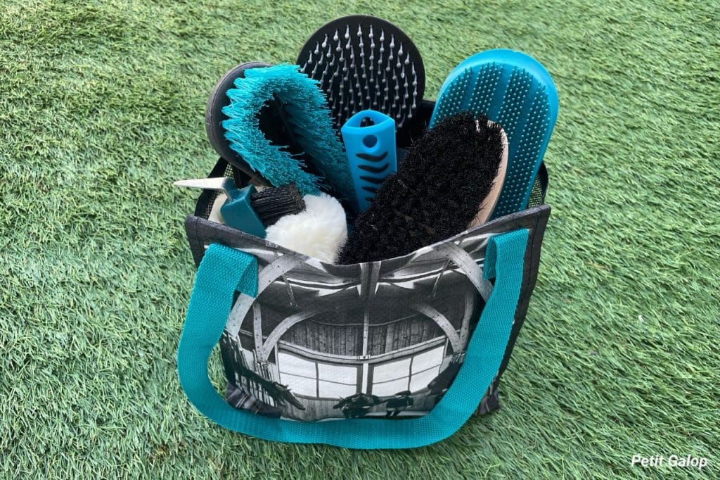 Trousse pansage cheval