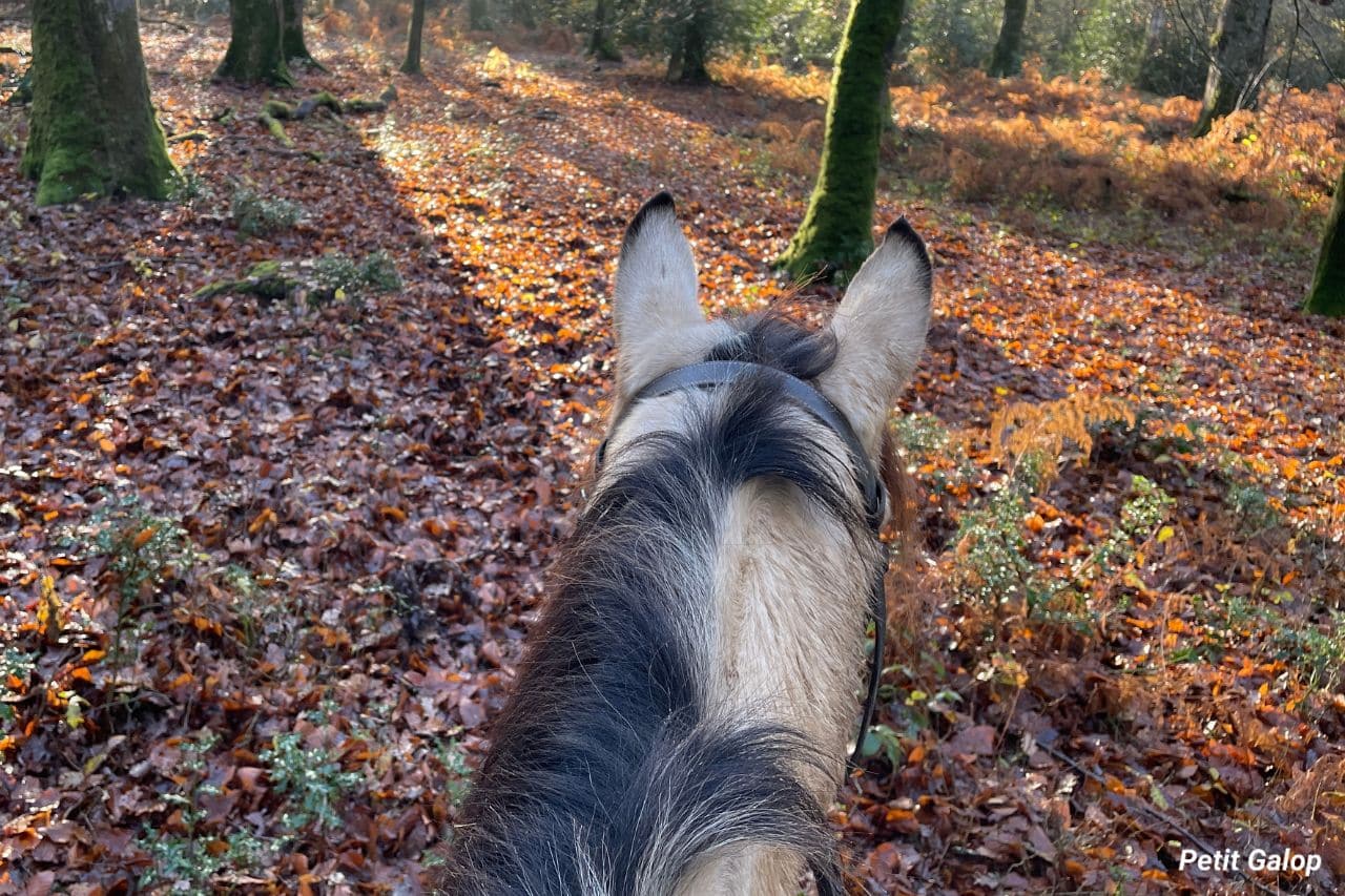 Circuler à cheval en extérieur