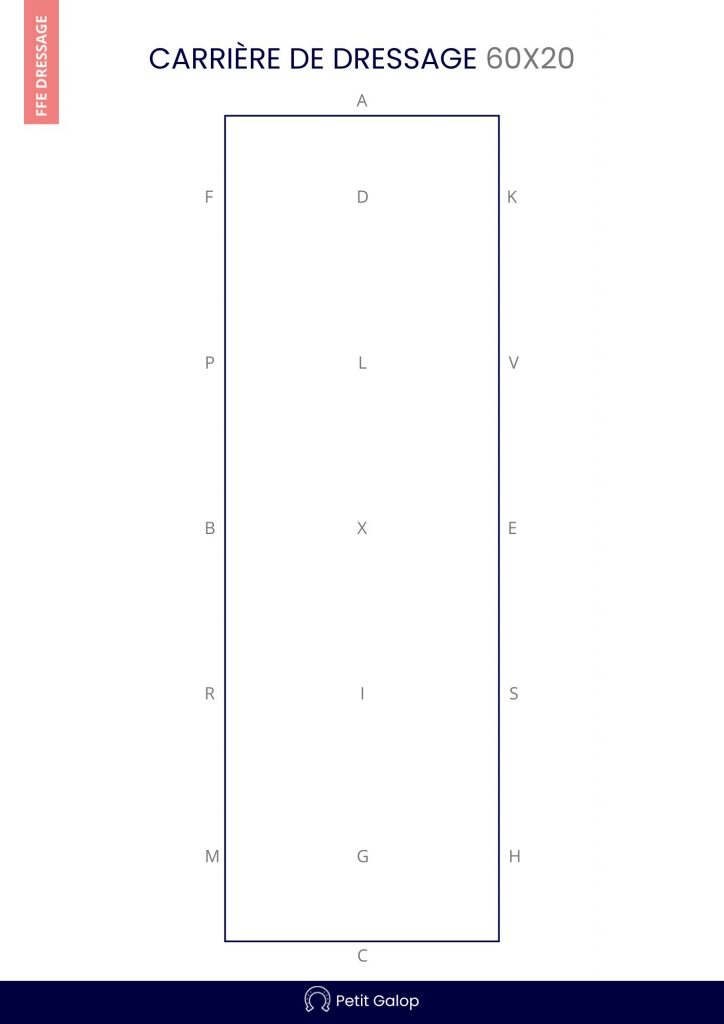 Plan carrière de dressage 60x20