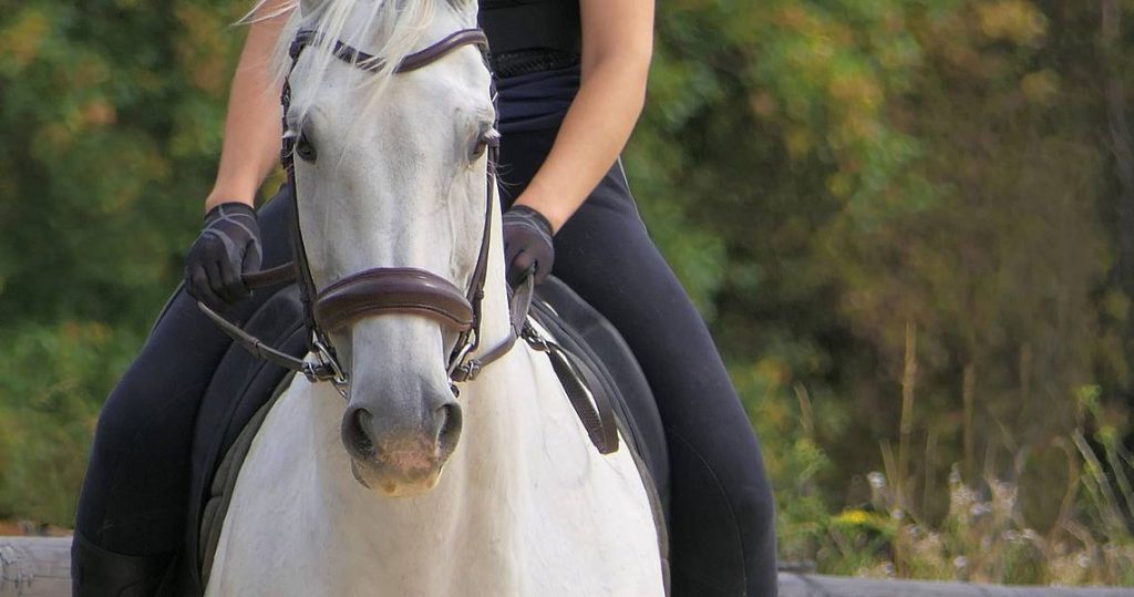 Cavalier sur un cheval blanc