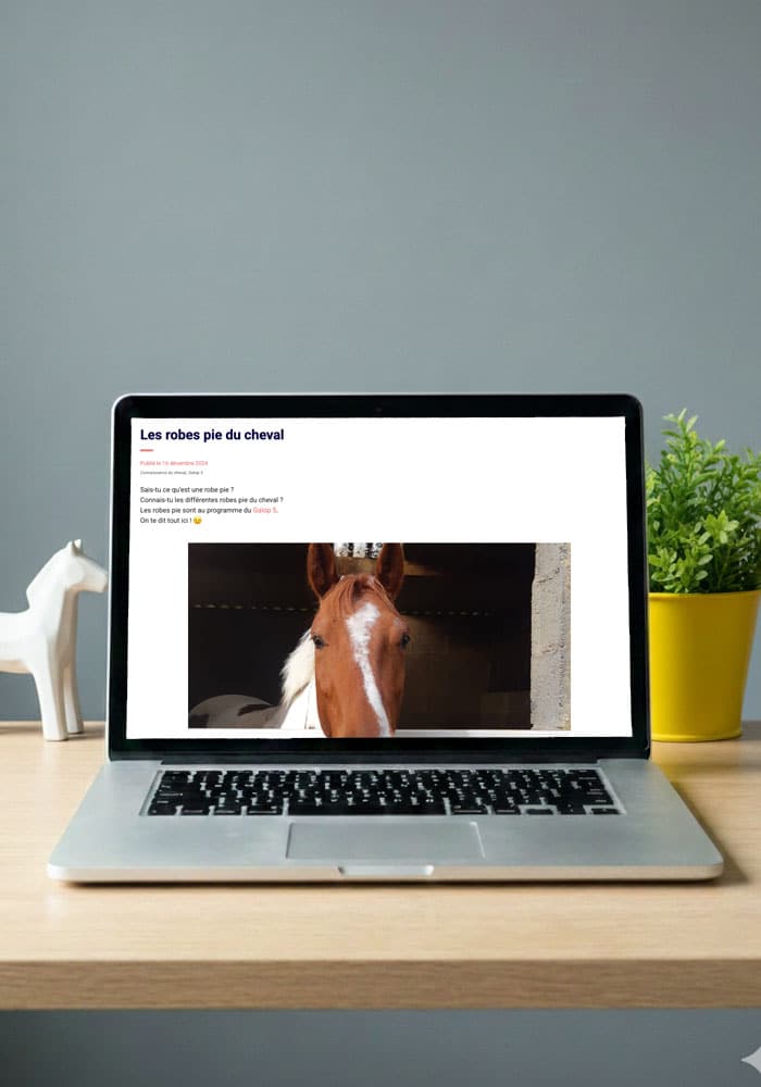 Les conseils pour réviser ses Galops