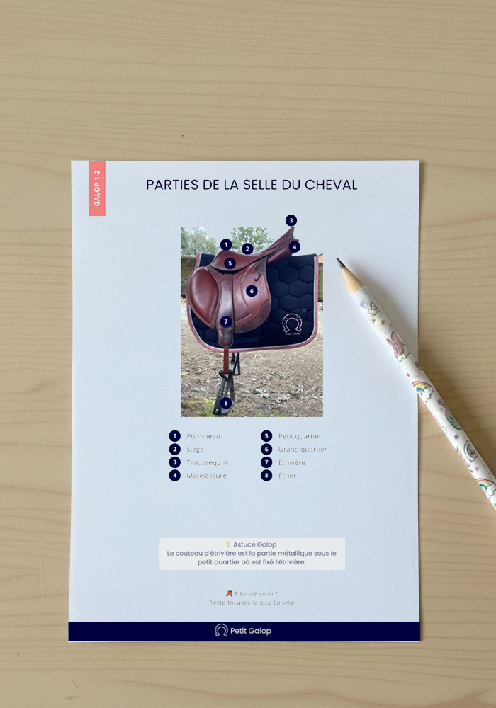 Fiches à télécharger