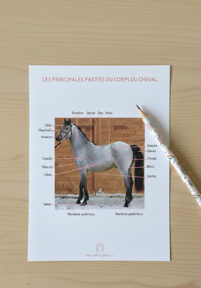 Fiches à télécharger