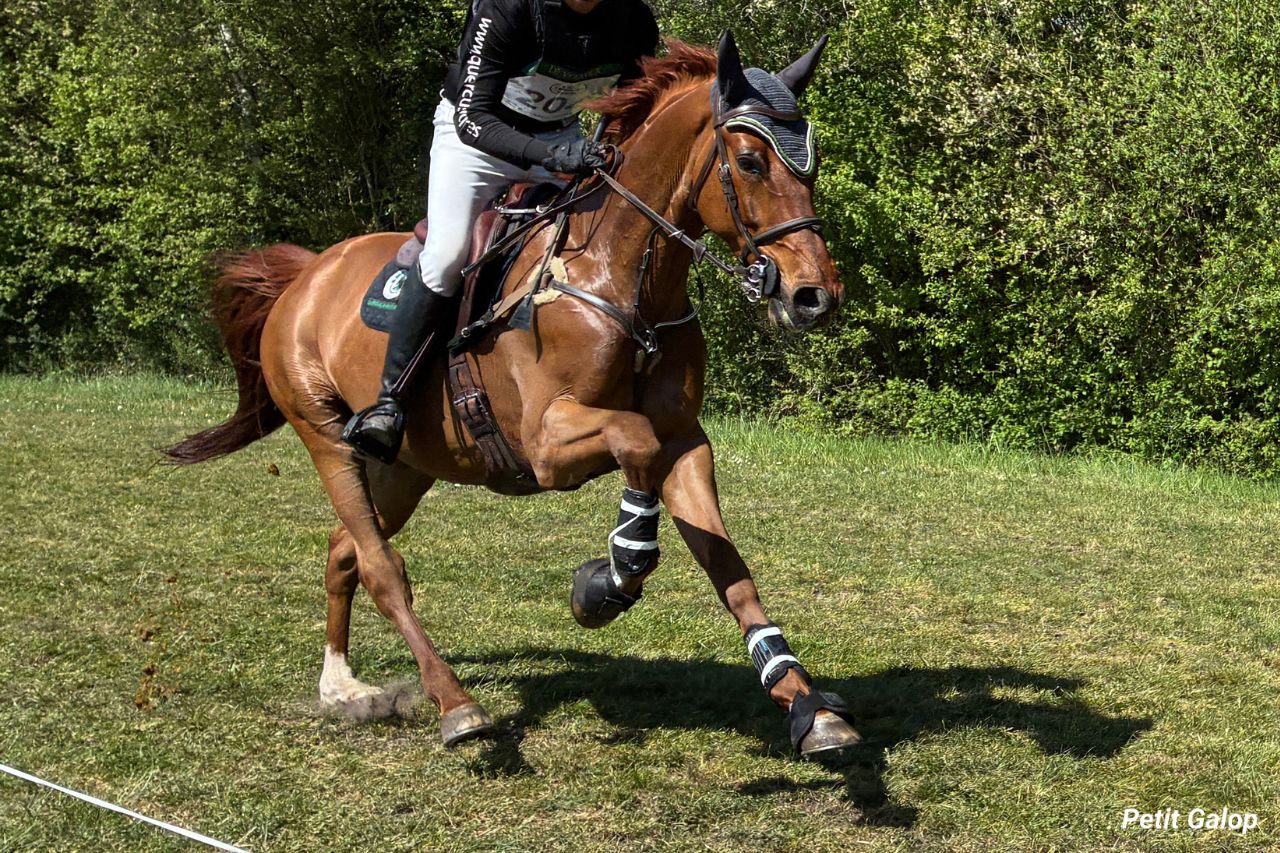 Equitation sport