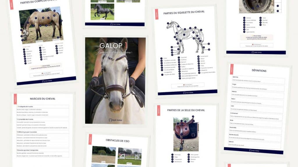 Les e-books de Petit Galop
