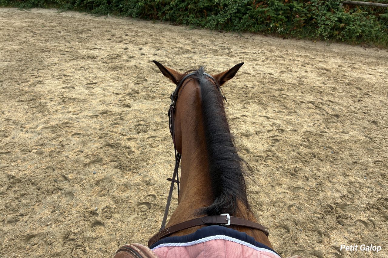 Aides pour tourner à cheval