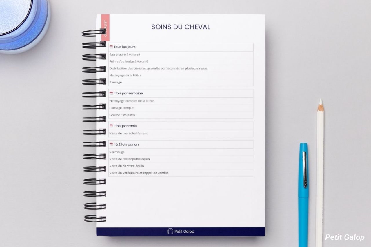 Checklist soins du cheval