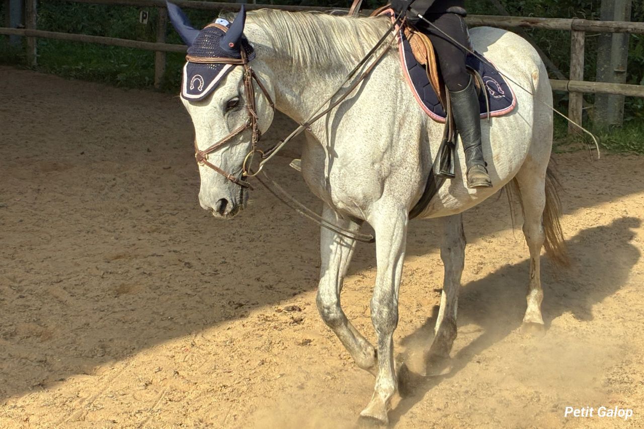 Monter à cheval sans étriers