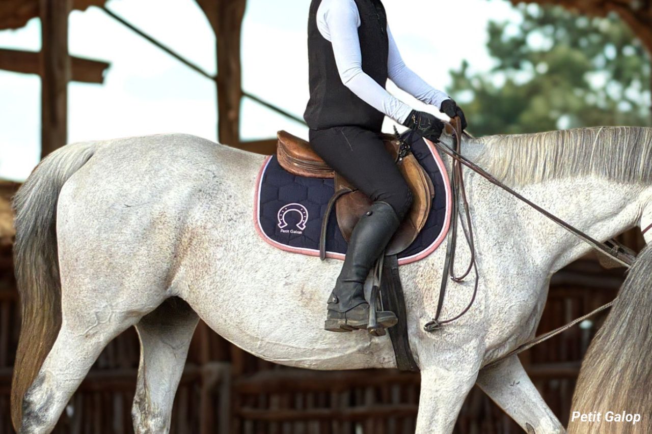 Position à cheval