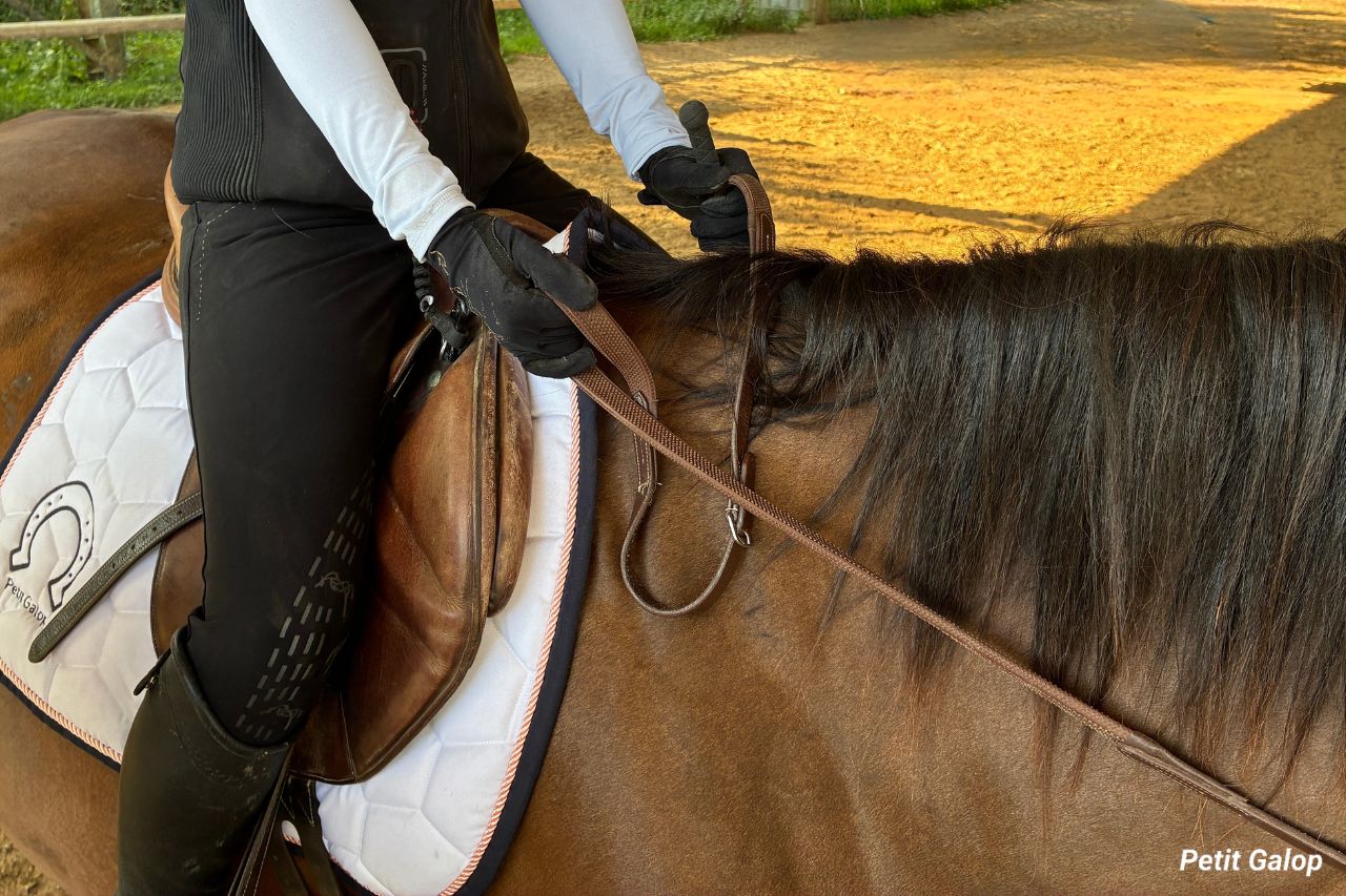 Tenir les rênes à cheval
