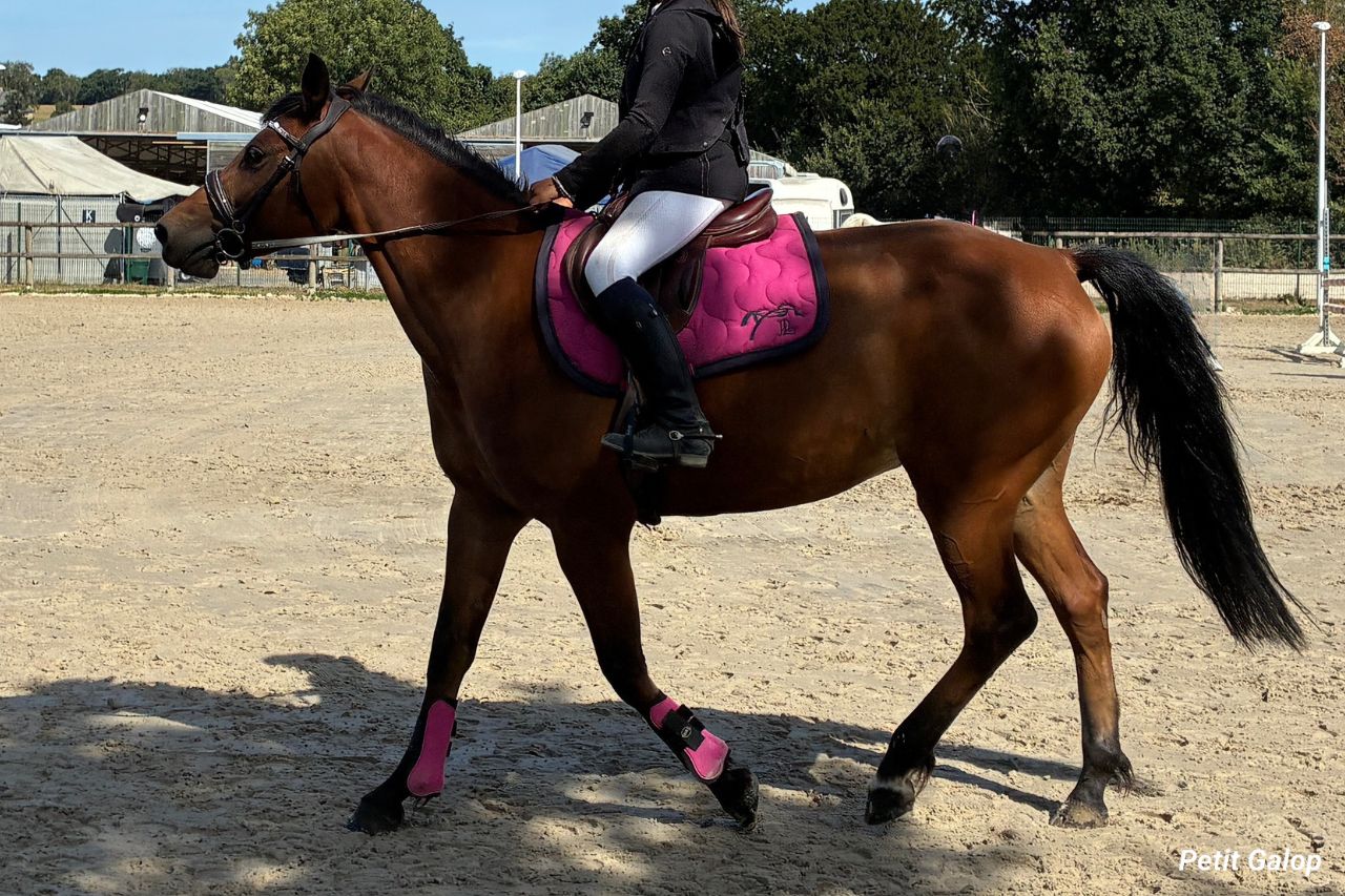 A quel âge commencer l'équitation ?