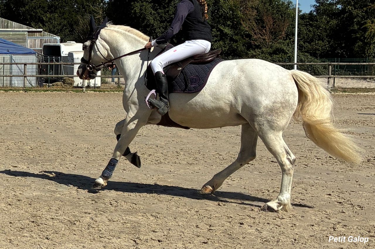 Départ au galop sur le bon pied
