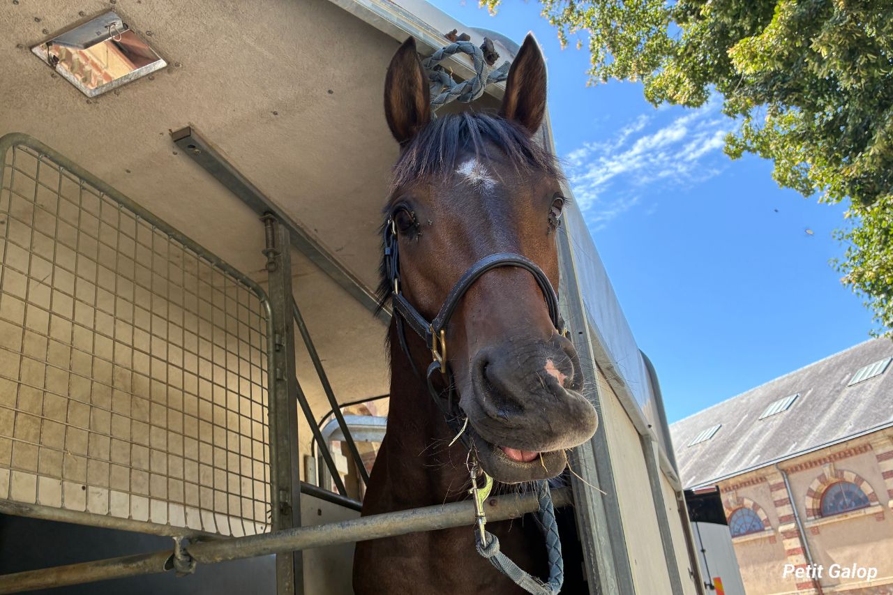 Embarquer un cheval