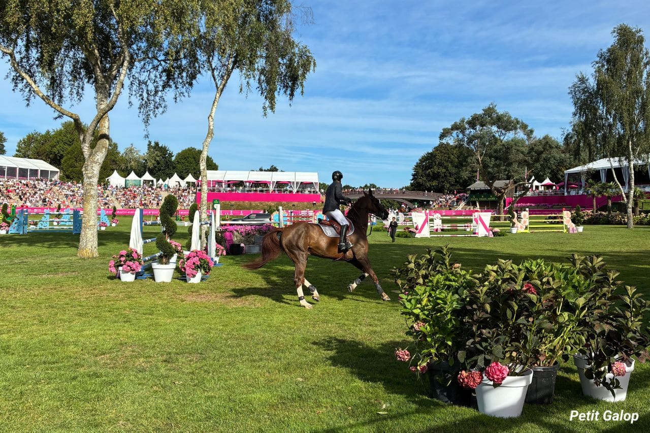 Saut d'obstacles