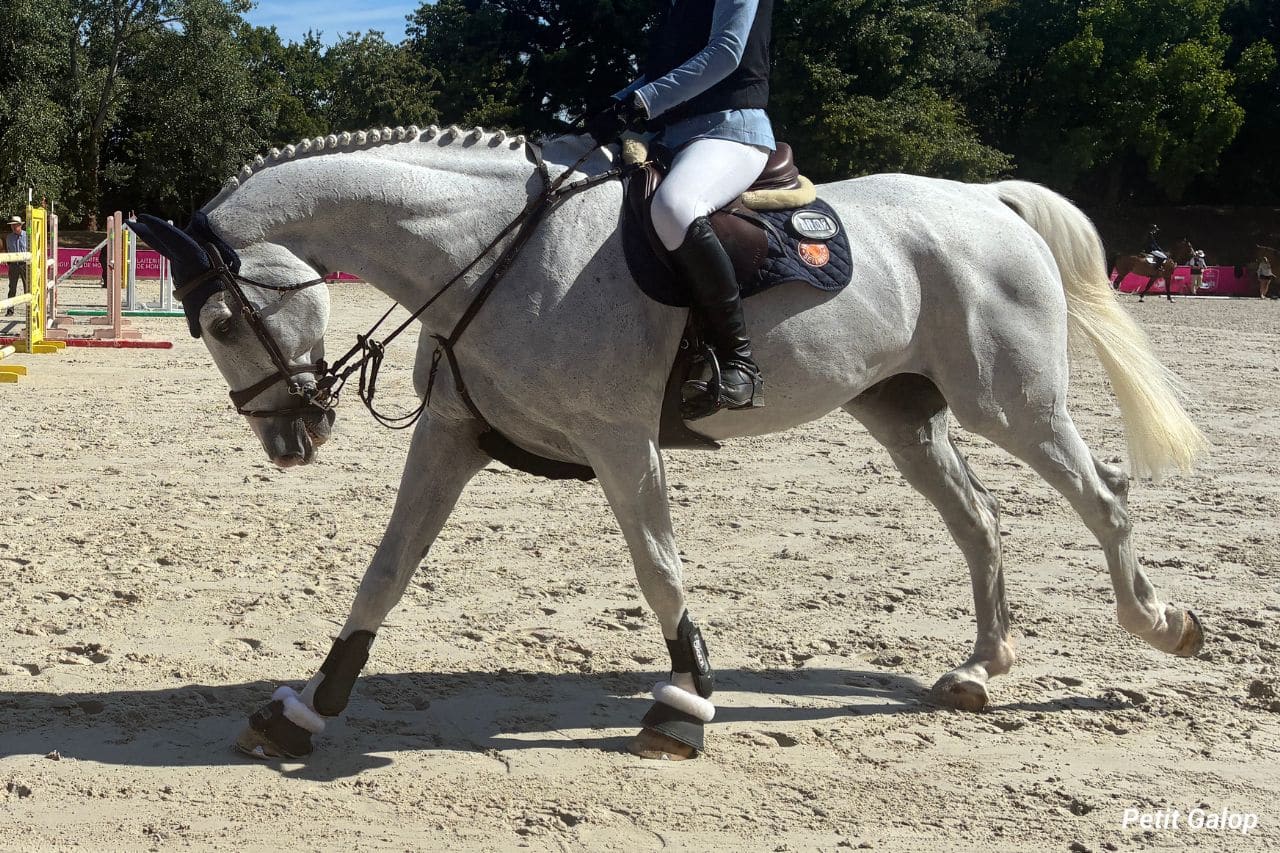 Tresser cheval