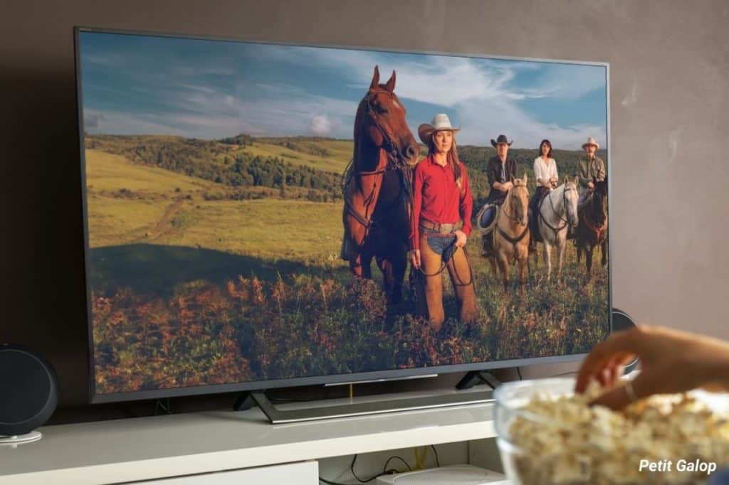 Séries chevaux