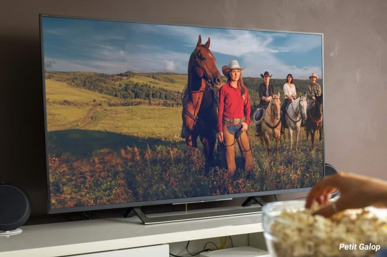 Séries chevaux